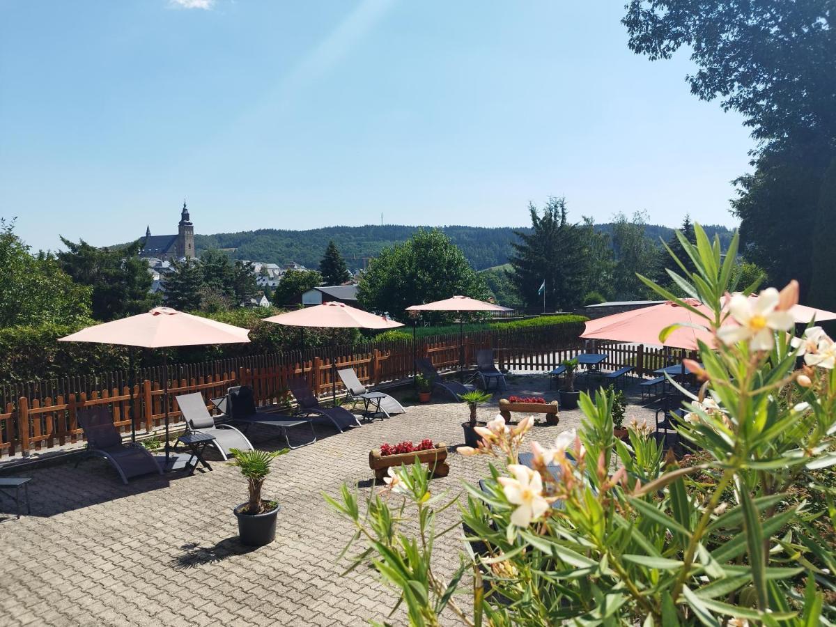 Steiger - Pfotenurlaub Hotel 3*