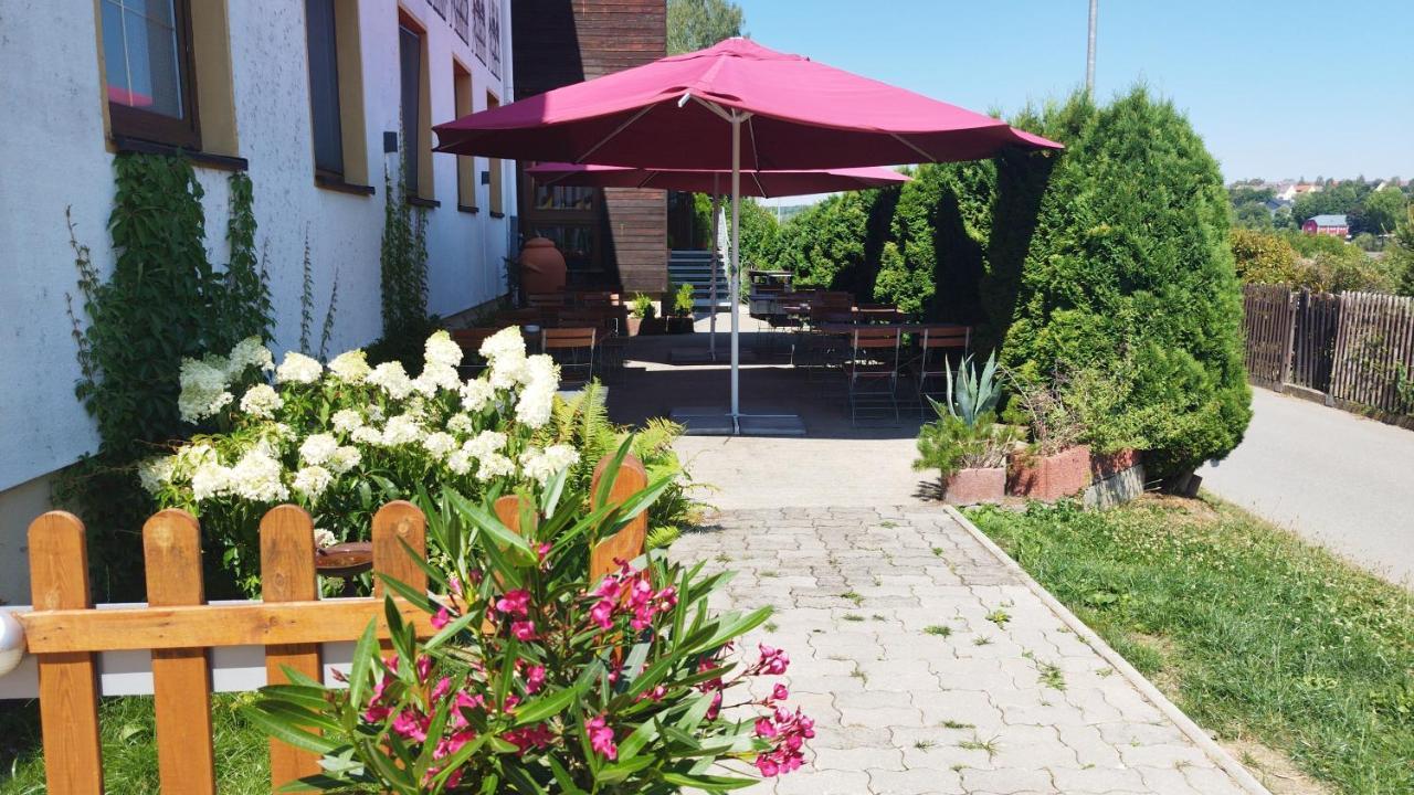 Steiger - Pfotenurlaub Hotel Schneeberg (Saxony)